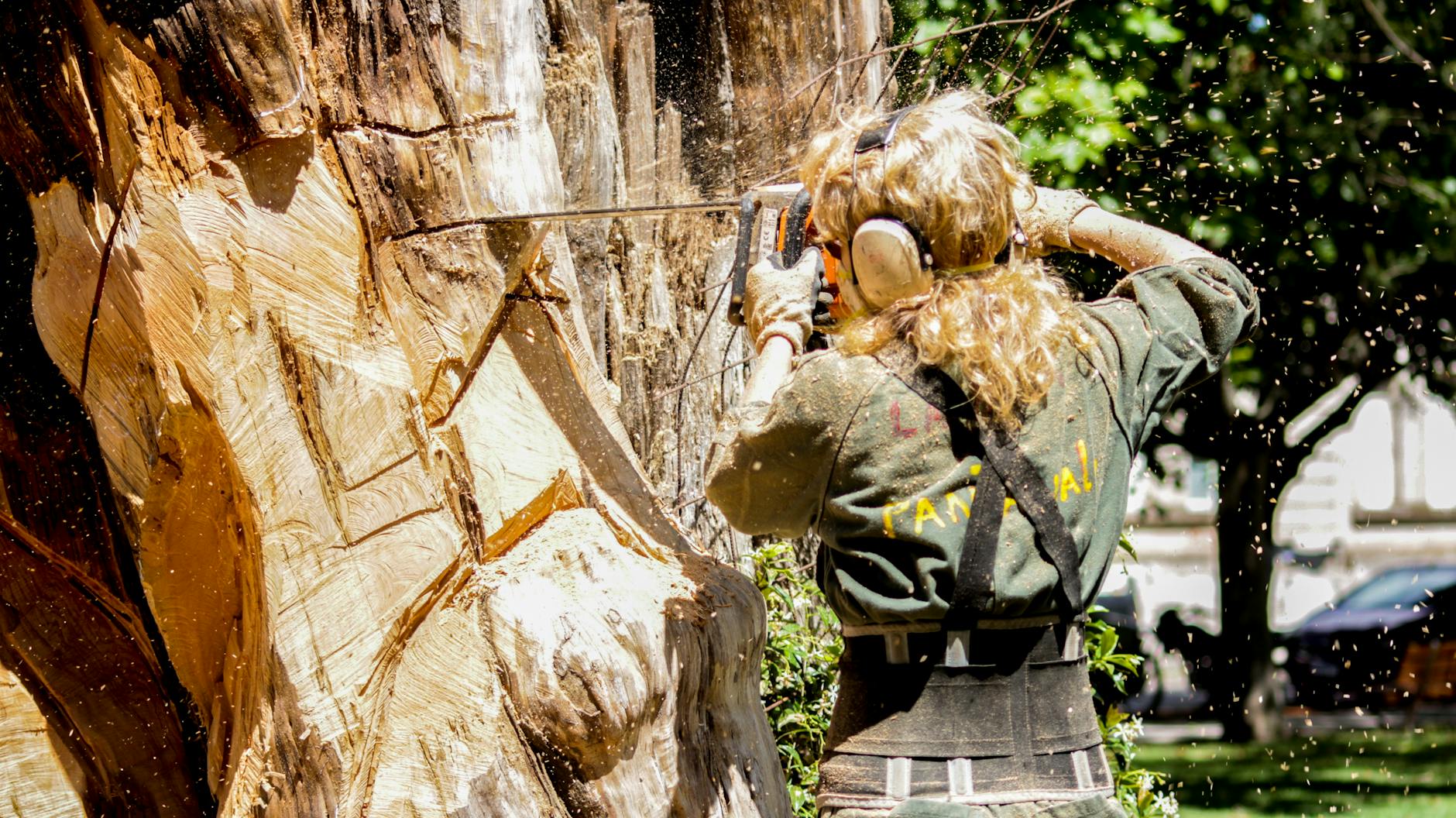 Tree Removal Permit Nashville TN: Complete Guide & Requirements 2026
