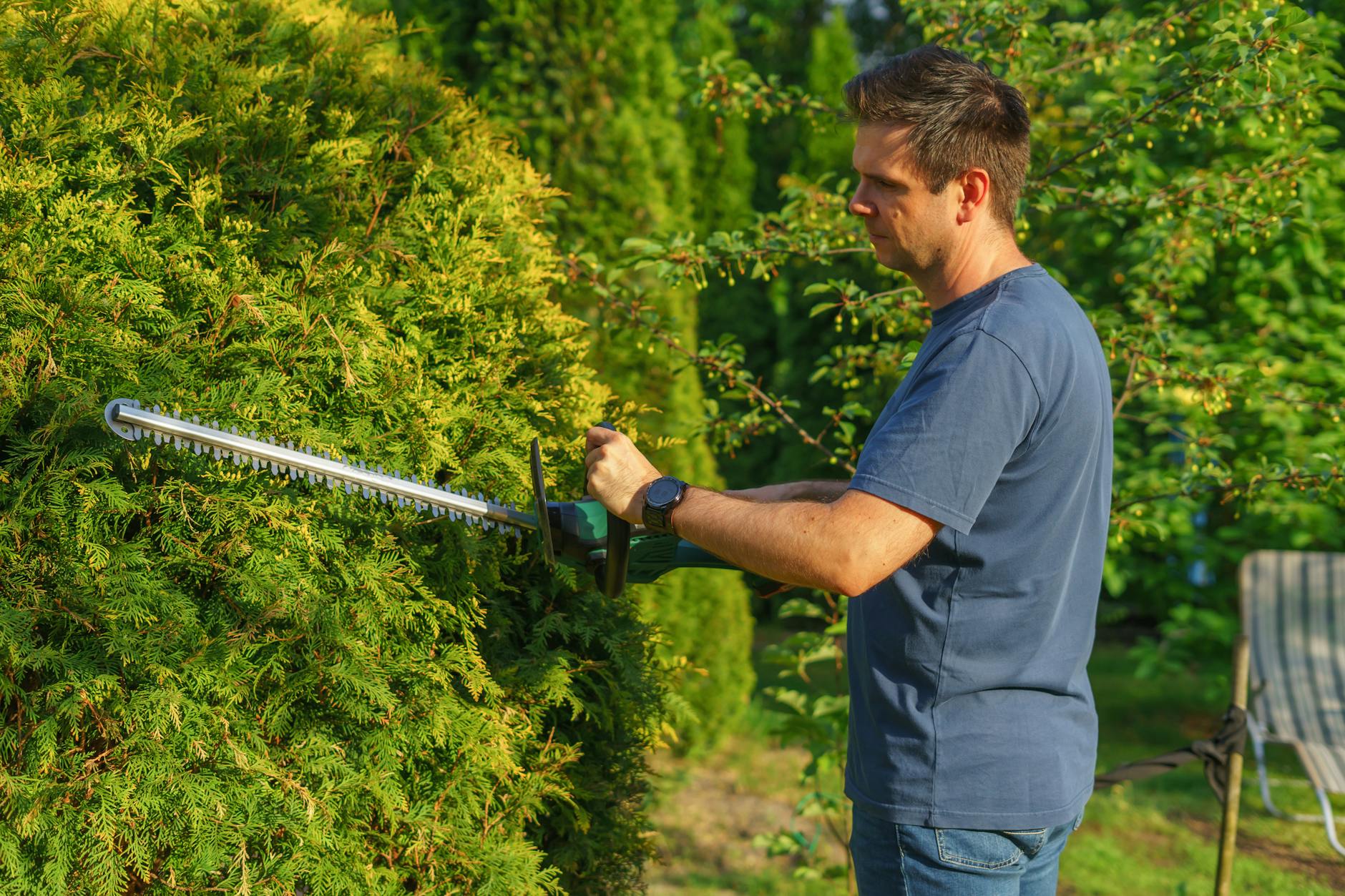 Best Time to Trim Trees Nashville: Complete 2026 Guide