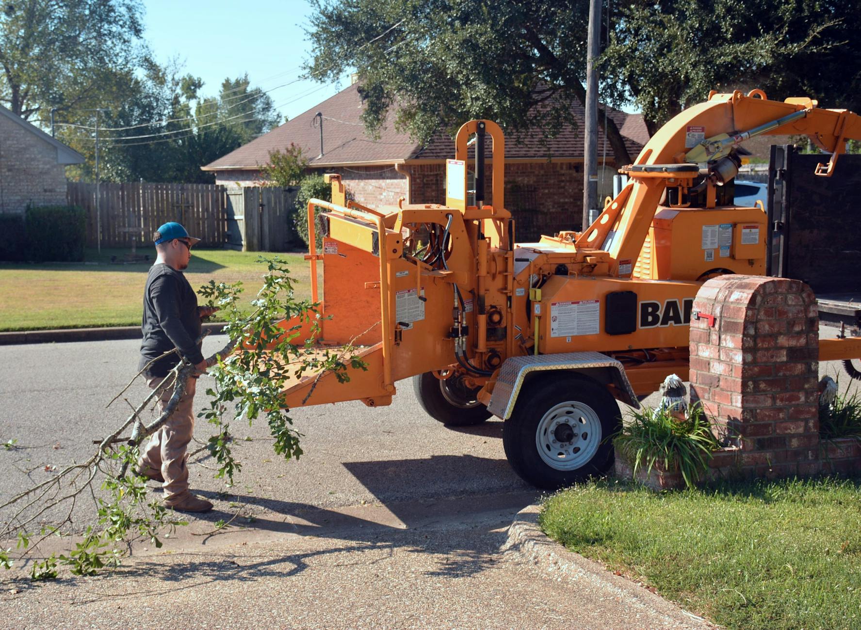 Tree Removal vs Trimming Nashville: Cost, Benefits & Expert Guide