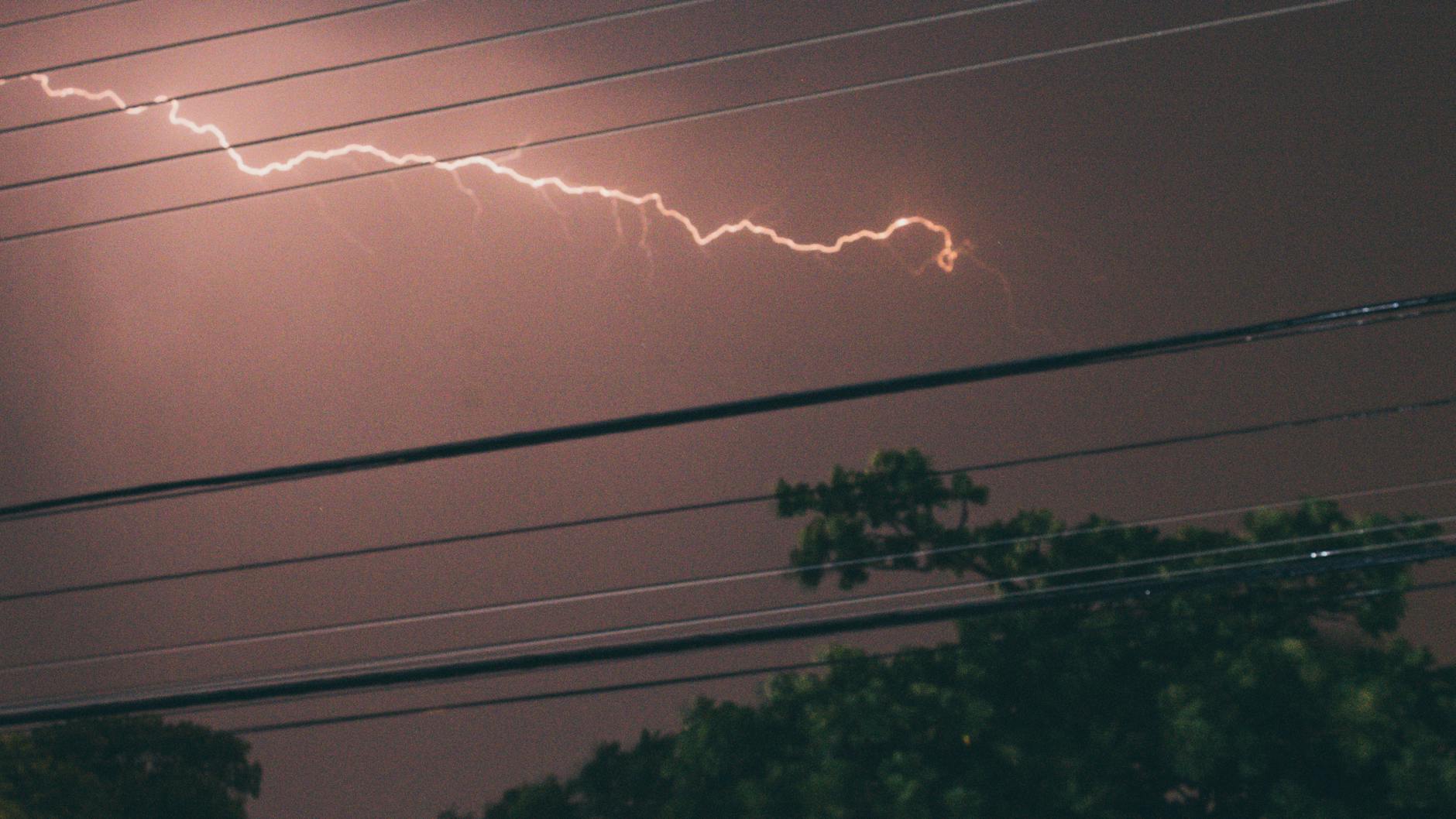 Tree Service After Storm Nashville: Emergency Response & Pricing Guide