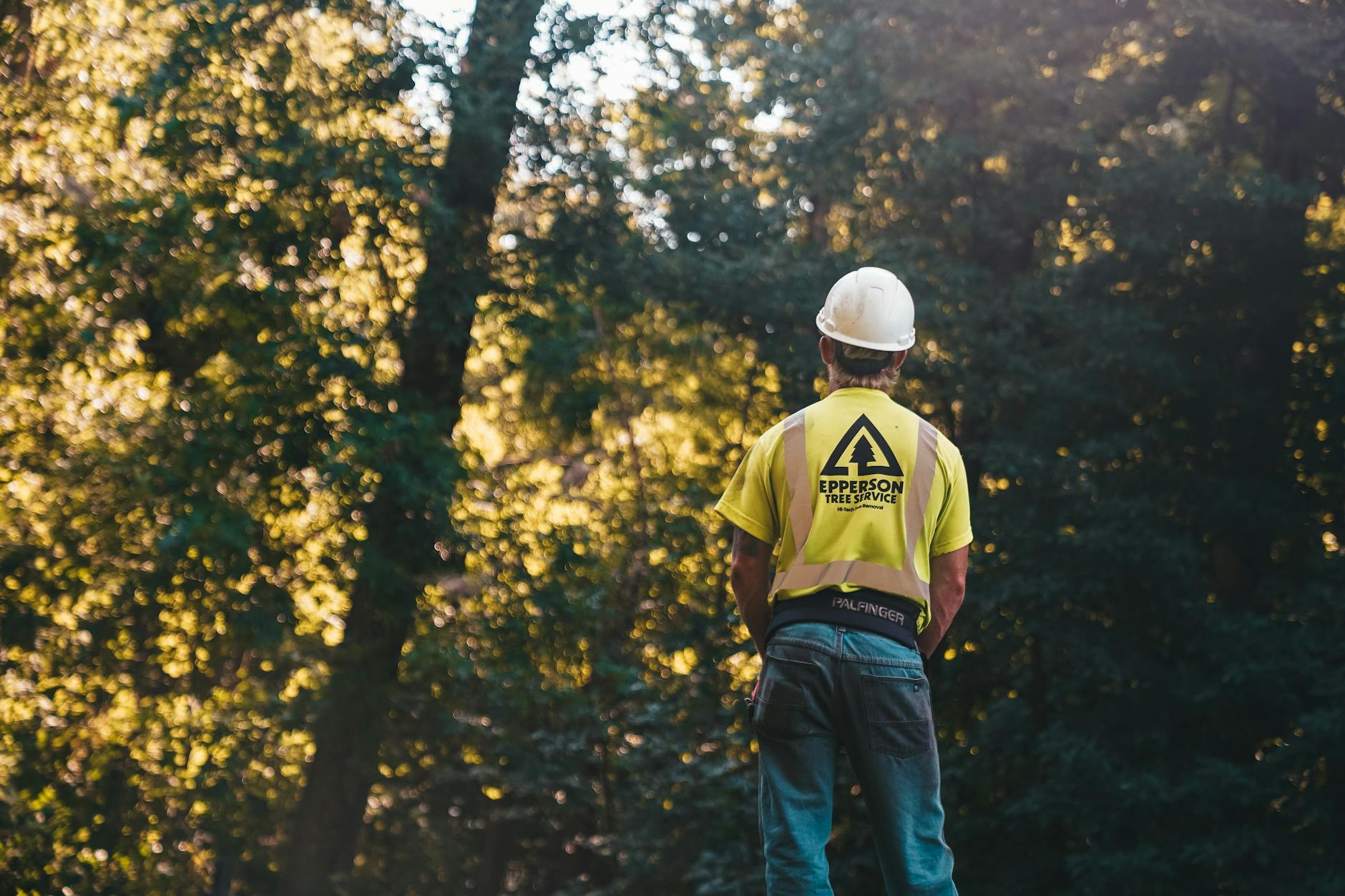 Tree Service Antioch TN - Professional Tree Care | TreeDone